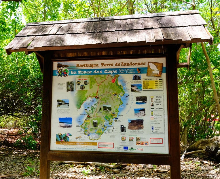 Sentier de randonnée avec vue panoramique sur la côte