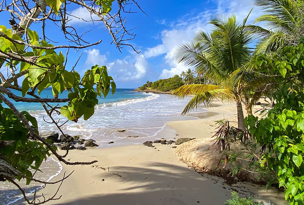 Plage de Sainte-Luce avec restaurants les pieds dans le sable